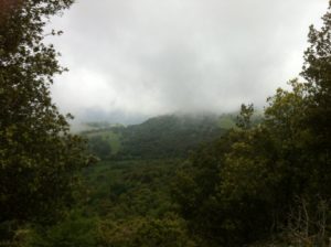 Vue sur les nuages