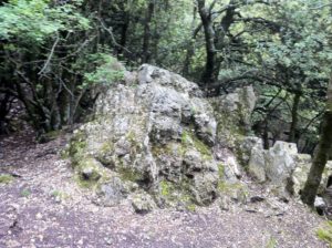 Forêt des Chênes