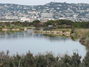 Le lac d'eau salé